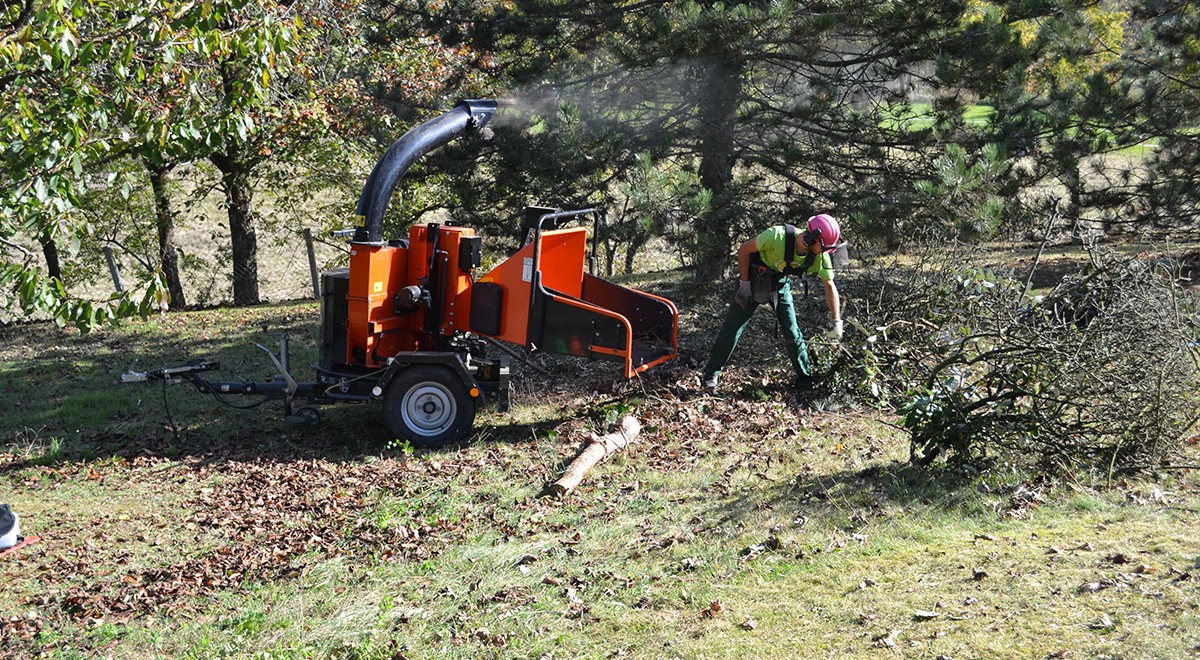 Nettoyage de terrains, débroussaillage