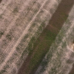 Sablage de terrain de sport (stade municipal)